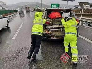 司机车里吃瓜,司机美食时光的别样风景  第2张